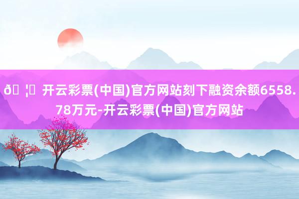 🦄开云彩票(中国)官方网站刻下融资余额6558.78万元-开云彩票(中国)官方网站