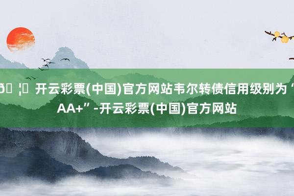 🦄开云彩票(中国)官方网站韦尔转债信用级别为“AA+”-开云彩票(中国)官方网站