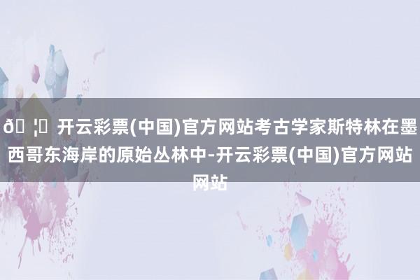 🦄开云彩票(中国)官方网站考古学家斯特林在墨西哥东海岸的原始丛林中-开云彩票(中国)官方网站