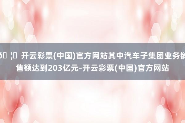 🦄开云彩票(中国)官方网站其中汽车子集团业务销售额达到203亿元-开云彩票(中国)官方网站