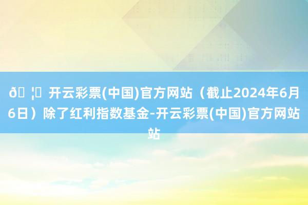 🦄开云彩票(中国)官方网站（截止2024年6月6日）除了红利指数基金-开云彩票(中国)官方网站