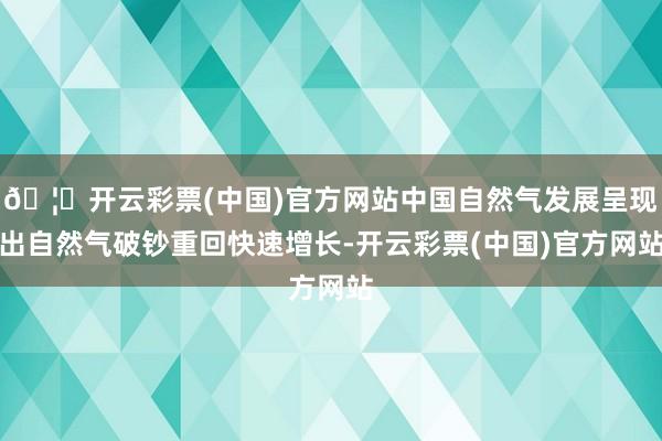 🦄开云彩票(中国)官方网站中国自然气发展呈现出自然气破钞重回快速增长-开云彩票(中国)官方网站