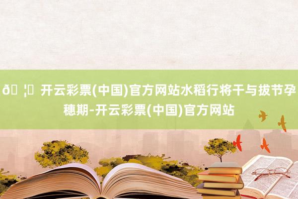 🦄开云彩票(中国)官方网站水稻行将干与拔节孕穗期-开云彩票(中国)官方网站