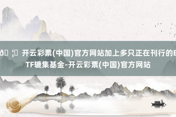 🦄开云彩票(中国)官方网站加上多只正在刊行的ETF辘集基金-开云彩票(中国)官方网站