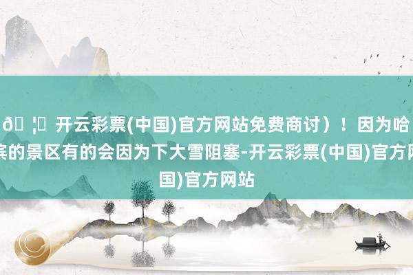 🦄开云彩票(中国)官方网站免费商讨）！因为哈尔滨的景区有的会因为下大雪阻塞-开云彩票(中国)官方网站