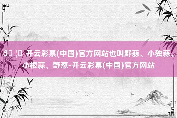 🦄开云彩票(中国)官方网站也叫野蒜、小独蒜、小根蒜、野葱-开云彩票(中国)官方网站