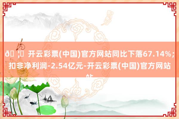 🦄开云彩票(中国)官方网站同比下落67.14%；扣非净利润-2.54亿元-开云彩票(中国)官方网站