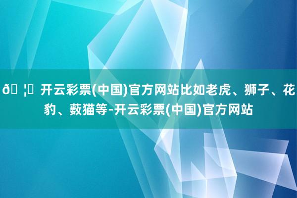 🦄开云彩票(中国)官方网站比如老虎、狮子、花豹、薮猫等-开云彩票(中国)官方网站