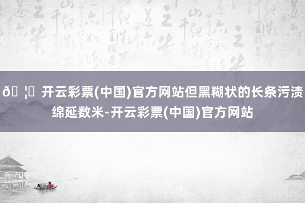 🦄开云彩票(中国)官方网站但黑糊状的长条污渍绵延数米-开云彩票(中国)官方网站